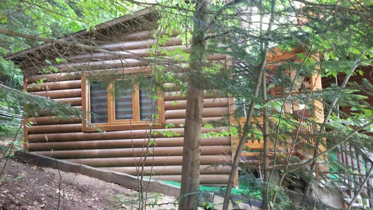 Vila Provintsia Mihove Exteriér fotografie